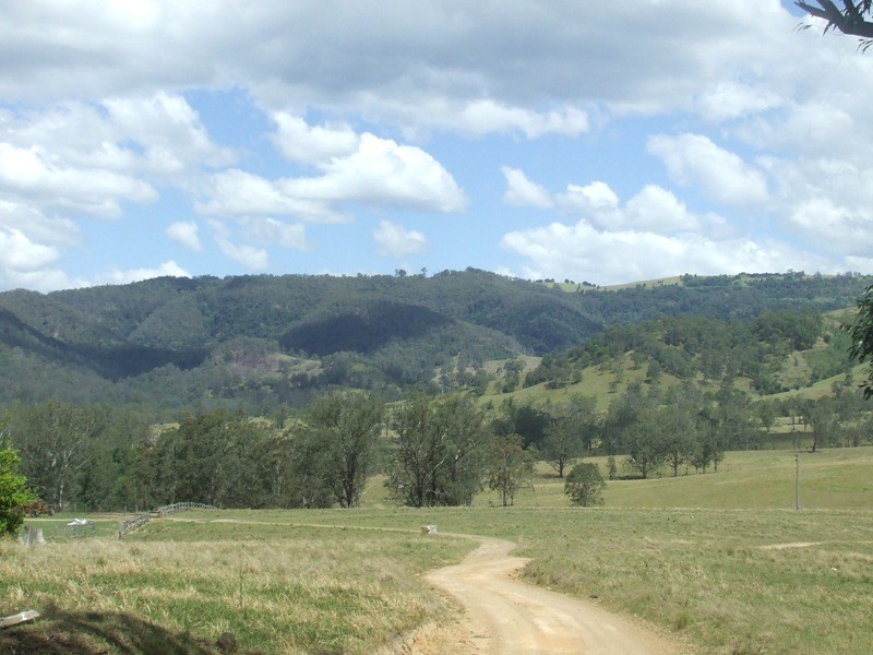 Ellenborough NSW 2446