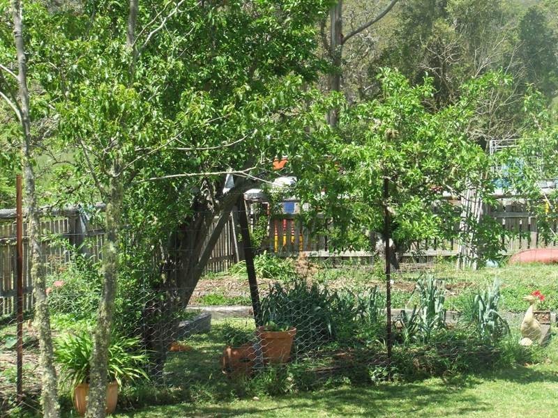 Ellenborough NSW 2446