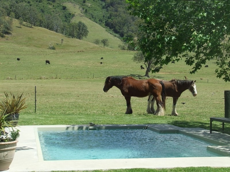 Ellenborough NSW 2446