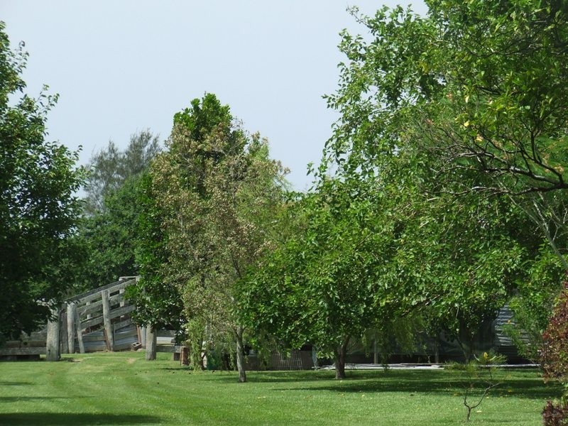 Kinchela NSW 2440
