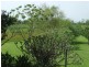 Kinchela NSW 2440