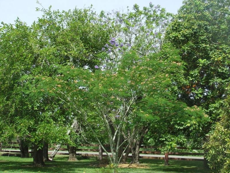 Kinchela NSW 2440