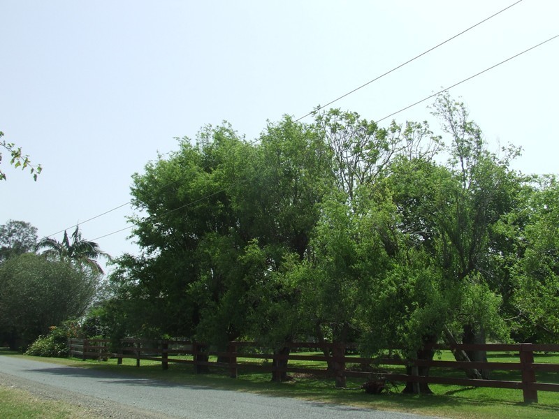 Kinchela NSW 2440