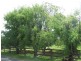Kinchela NSW 2440