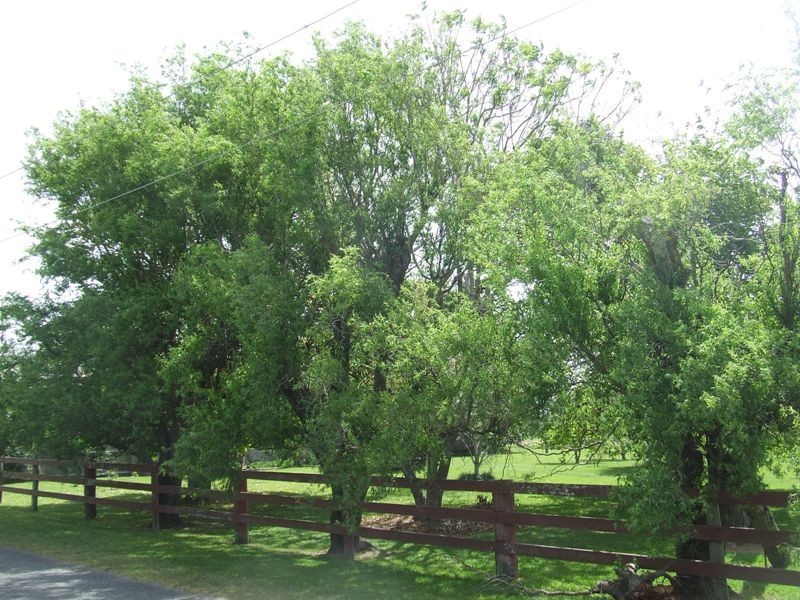 Kinchela NSW 2440