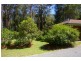 Telegraph Point NSW 2441