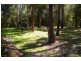 Telegraph Point NSW 2441