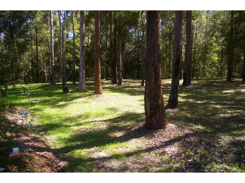 Telegraph Point NSW 2441