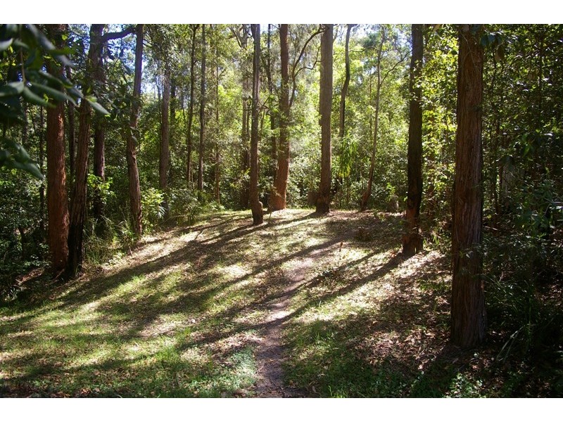 Telegraph Point NSW 2441