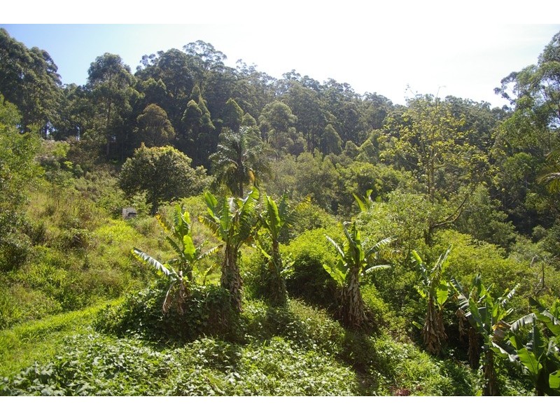 Johns River NSW 2443