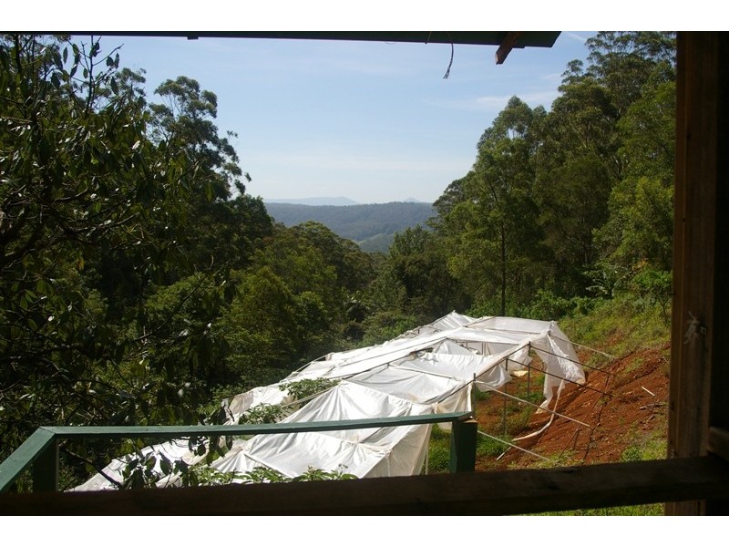 Johns River NSW 2443