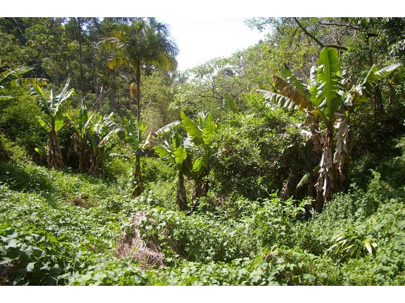 Johns River NSW 2443