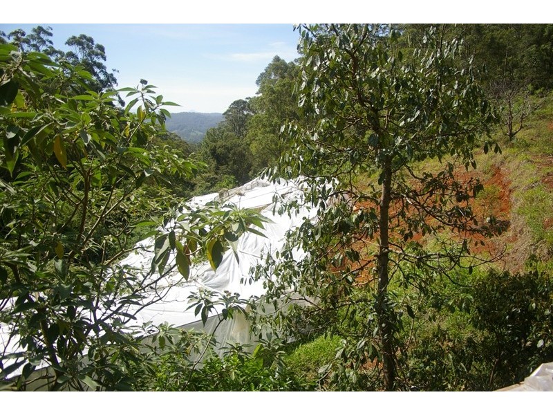 Johns River NSW 2443