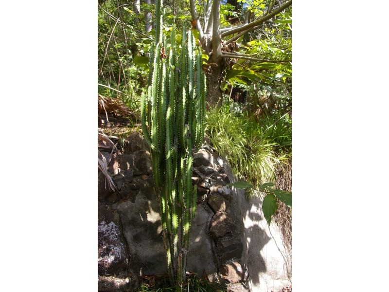 Johns River NSW 2443