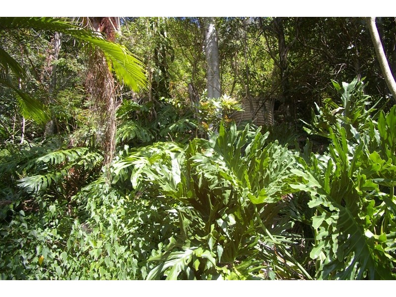 Johns River NSW 2443