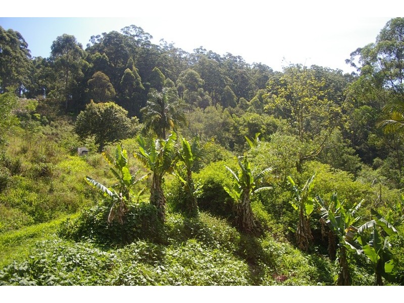 Johns River NSW 2443