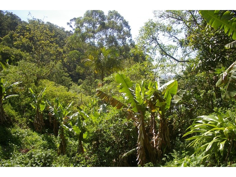 Johns River NSW 2443