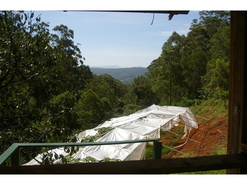 Johns River NSW 2443