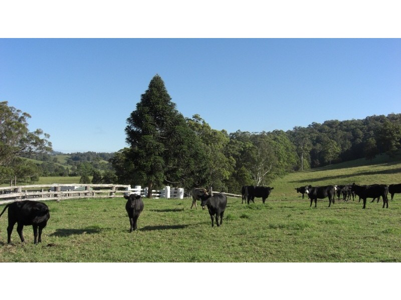 Telegraph Point NSW 2441
