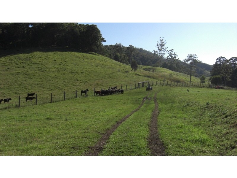 Telegraph Point NSW 2441