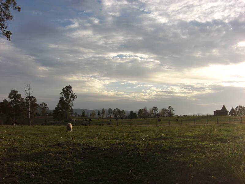 Telegraph Point NSW 2441