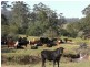 Telegraph Point NSW 2441