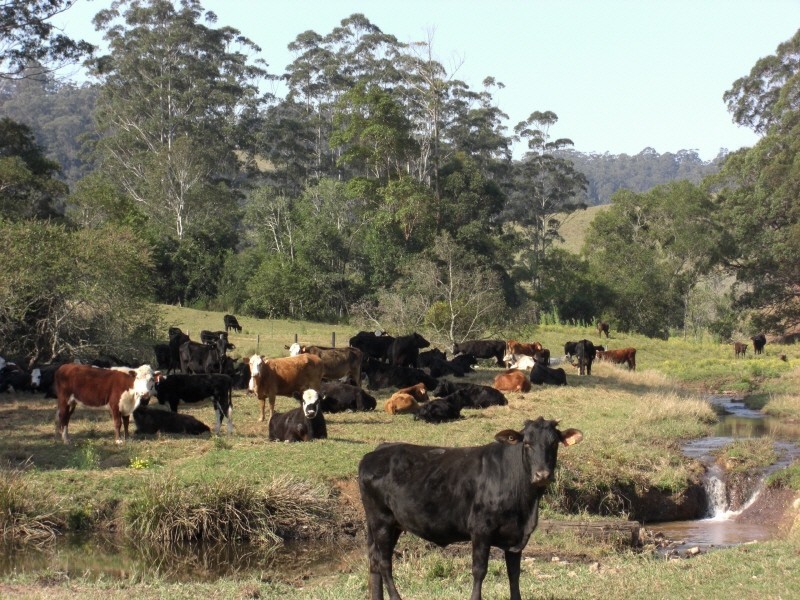 Telegraph Point NSW 2441