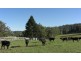 Telegraph Point NSW 2441