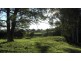 Telegraph Point NSW 2441