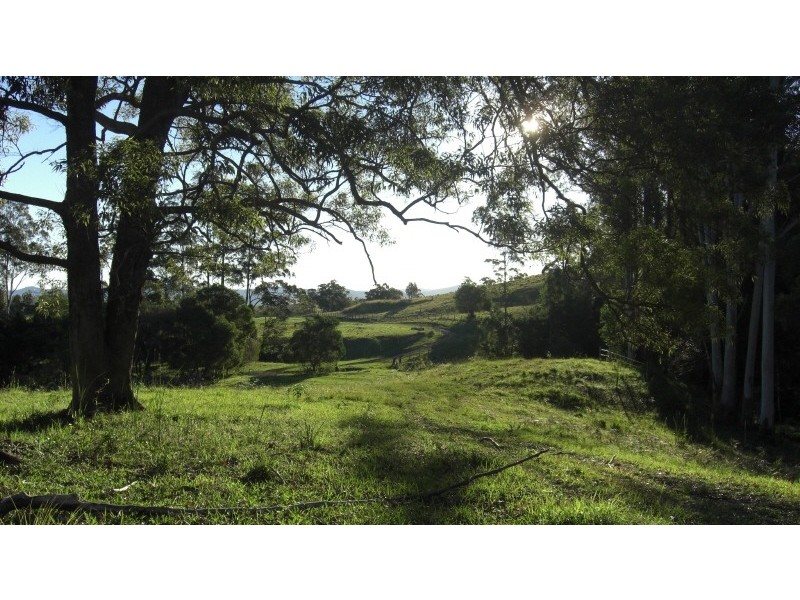 Telegraph Point NSW 2441