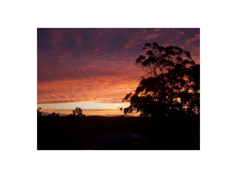 Telegraph Point NSW 2441