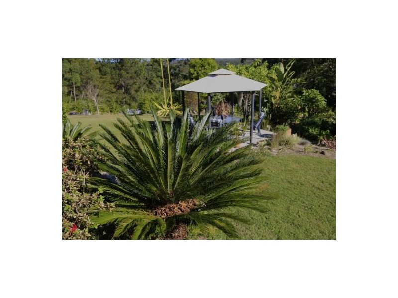 Telegraph Point NSW 2441