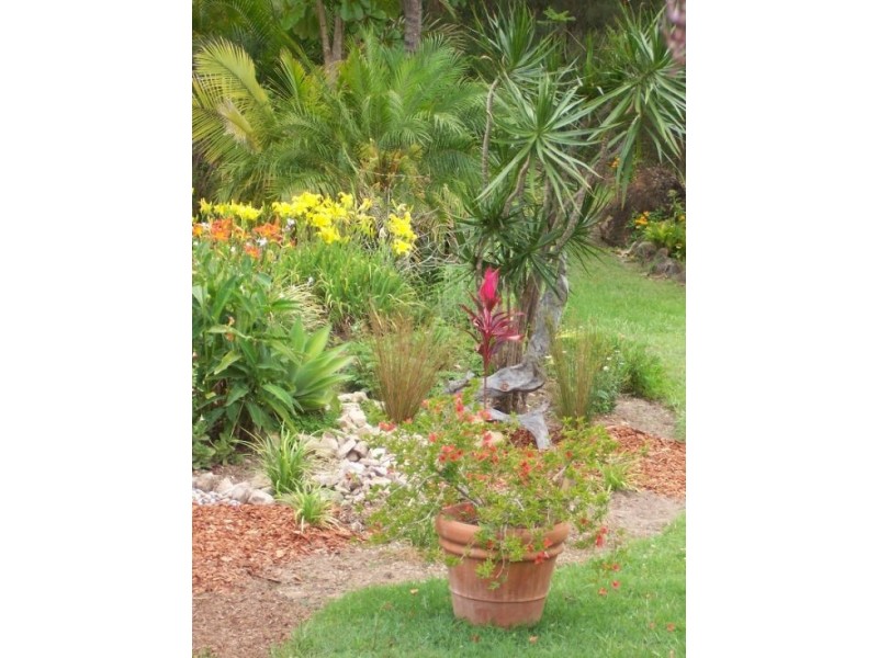 Telegraph Point NSW 2441