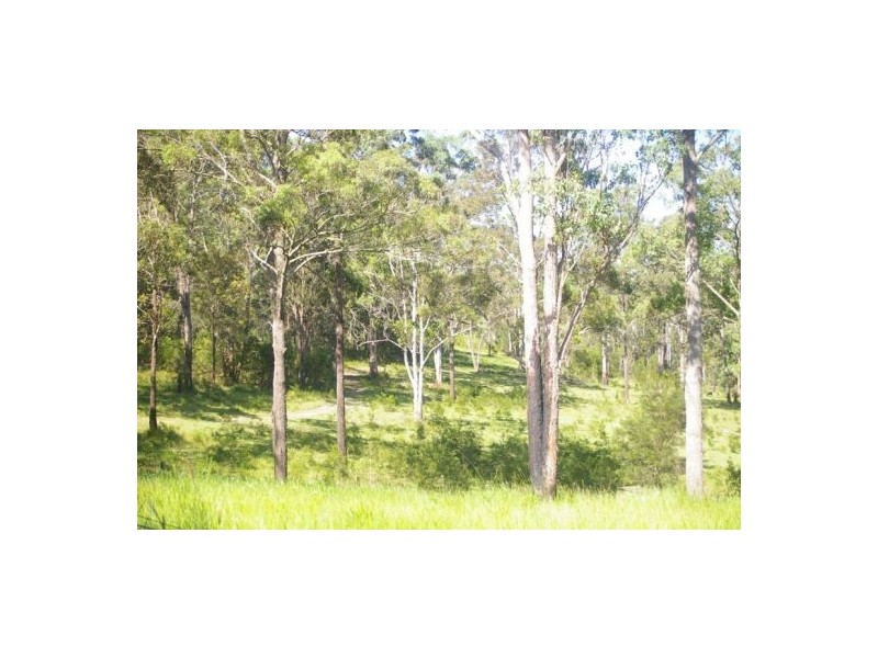 Gum Scrub NSW 2441