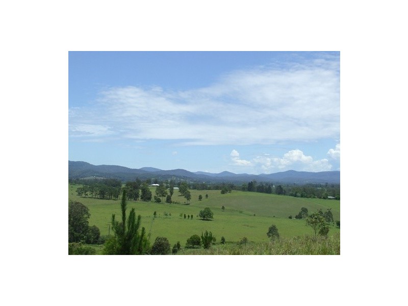 Gum Scrub NSW 2441