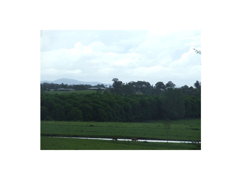 Gum Scrub NSW 2441