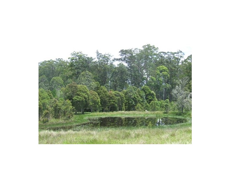 Gum Scrub NSW 2441