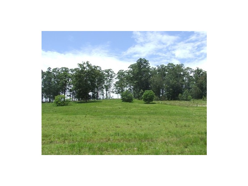 Gum Scrub NSW 2441