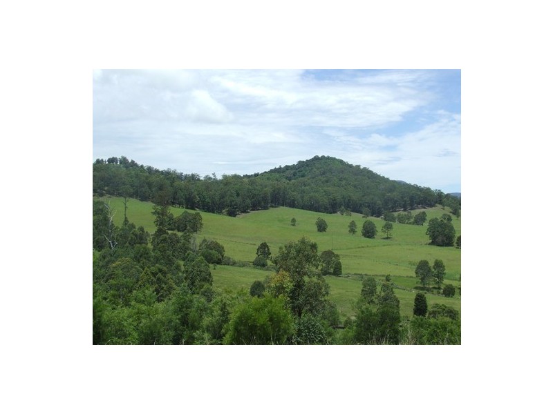 Gum Scrub NSW 2441