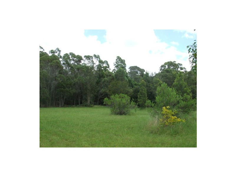 Crescent Head NSW 2440