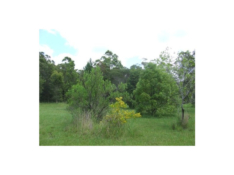 Crescent Head NSW 2440