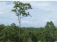 Sancrox NSW 2446