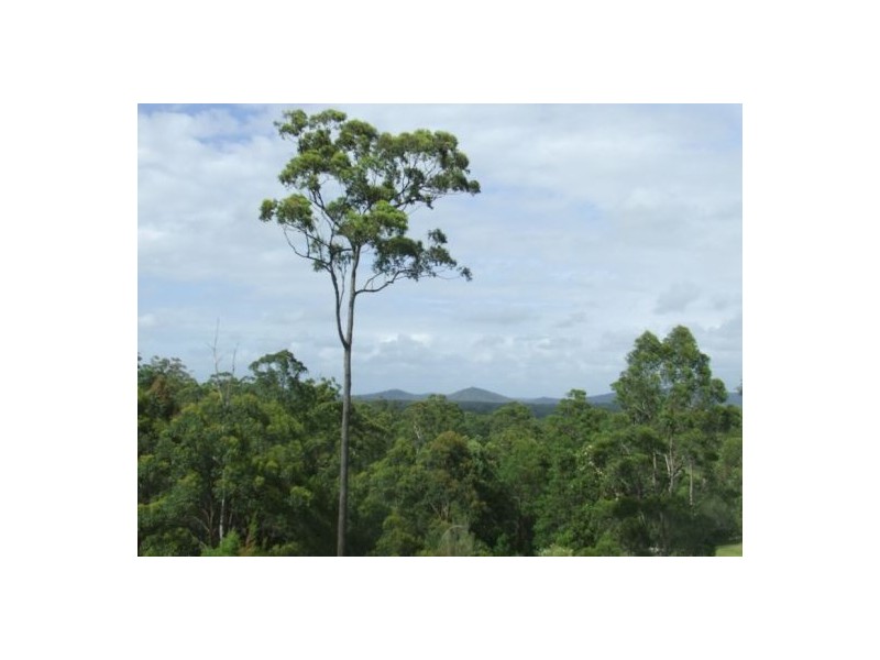 Sancrox NSW 2446