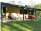 Kindee NSW 2446