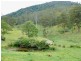 Kindee NSW 2446