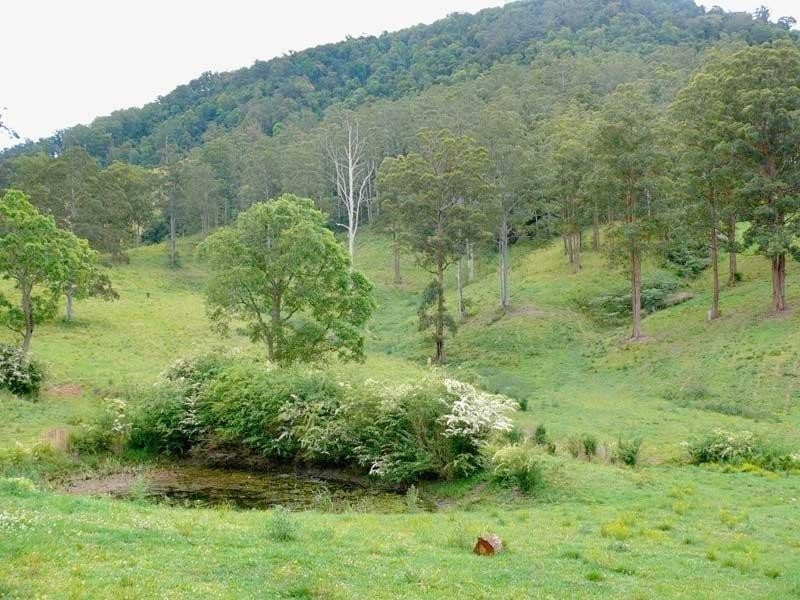 Kindee NSW 2446