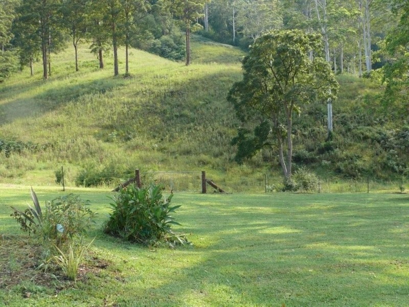 Kindee NSW 2446