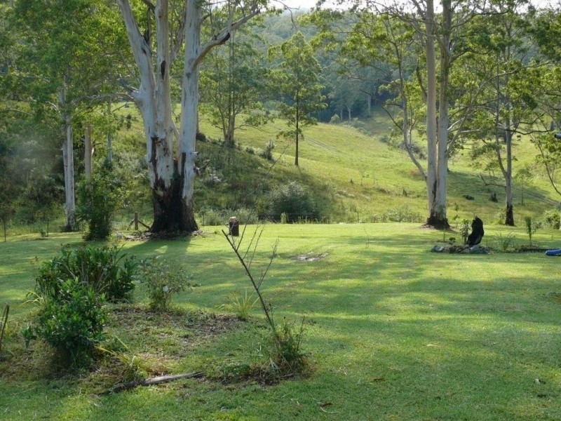 Kindee NSW 2446