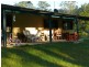 Kindee NSW 2446