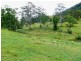 Kindee NSW 2446